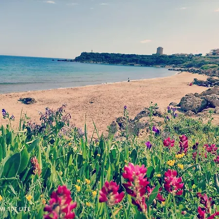 Conchiglia Vacanze 6 Posti A Pochi Passi Dal Mare Apartment