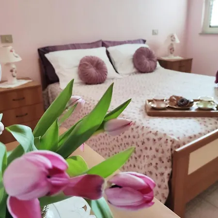 Conchiglia Vacanze 6 Posti A Pochi Passi Dal Mare Apartment *